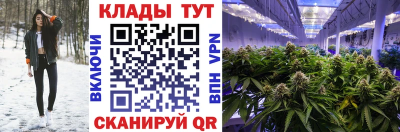 Виды наркотиков купить Сосновый Бор Кокаин Конопля СК Метамфетамин АМФЕТАМИН Мефедрон Гашиш Псилоцибиновые грибы