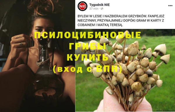 кокаин премиум Баксан
